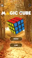 Magic Cube Puzzle