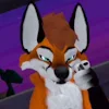 FluffyFoxBoi