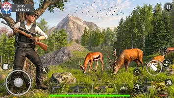 Deer Hunt Gun Games Offline