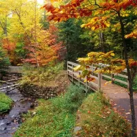Nature Jigsaw Puzzles