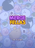 Merge Fellas