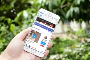 pet & dog - Buy and sell