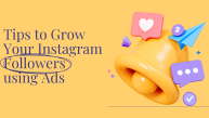 How to Grow Your Instagram?