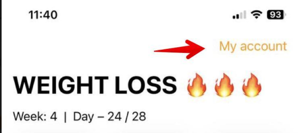 WOWBODY: Workouts & Meals