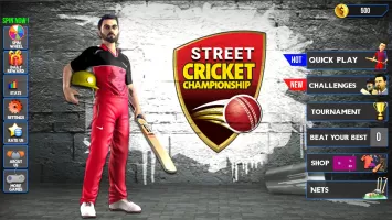 Street Criket-T20 Cricket Game