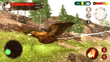 The Eagle