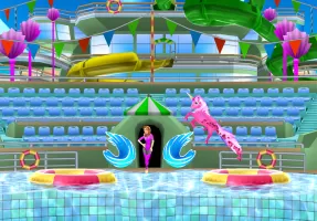 My Dolphin Show