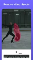 Video Object Watermark Remover