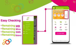 Zong Internet Packages 2024