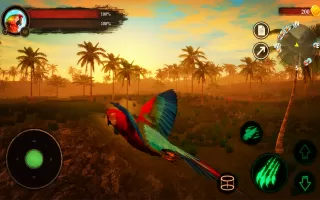 The Parrot