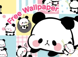 Wallpaper MOCHI MOCHI PANDA