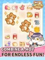 My Hamster Story