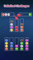 Sort Ball : Brain Age