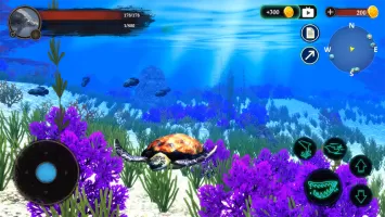 The Turtle