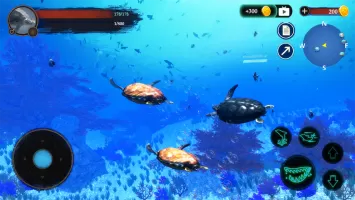 The Turtle