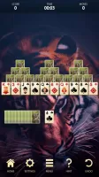 Classic Solitaire: Card Games