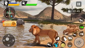 Lion Games Animal Simulator 3D