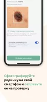 Prorodinki