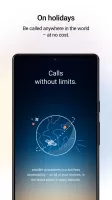 Satellite