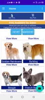 pet & dog - Buy and sell