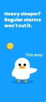 Early Bird Alarm Clock
