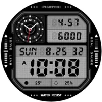 TIMEFLIK Watch Face