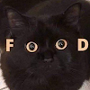 KILLER_OF_MOSCAL