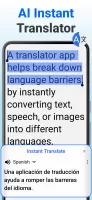 Translate App Text and Voices