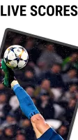 Football Live Scores