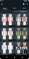 Aesthetic Skins for Minecraft