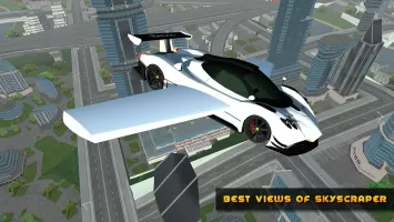 Flying Car Game driving