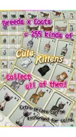 Claw Crane Cats