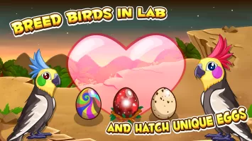 Bird Land: Pet Shop Bird Games