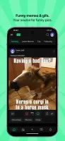 Memedroid