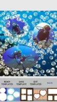 Photo collage + frames maker