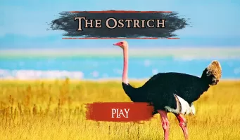 The Ostrich
