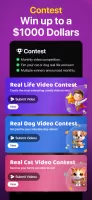 Lit.it Short Videos & Rewards