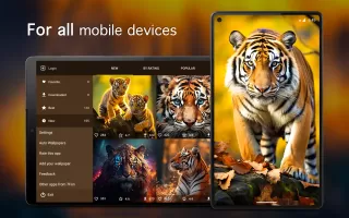 Tiger Wallpapers 4K