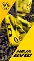 BVB