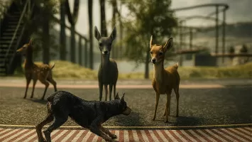 Doberman Dog Simulator