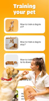 Dog & Cat Translator Prank