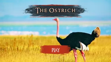 The Ostrich