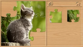 Animal Puzzles for Kids