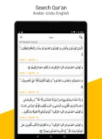 Quran + Tajweed + Audio 2025
