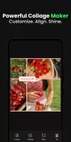 Pichype Photo Editor & Collage