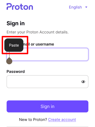 VPN Proton