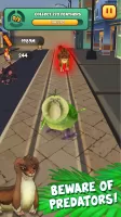 Kakapo Run