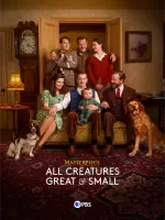 PBS: Watch Live TV Shows