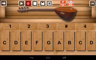 Baglama Pro