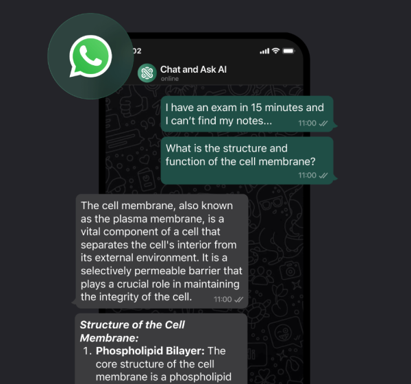 Chatbot AI Chat Open Assistant